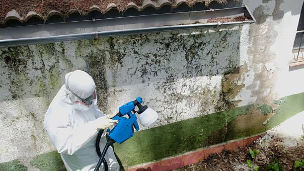 Top rated local Mold Remediation specialists in Delaplane, VA